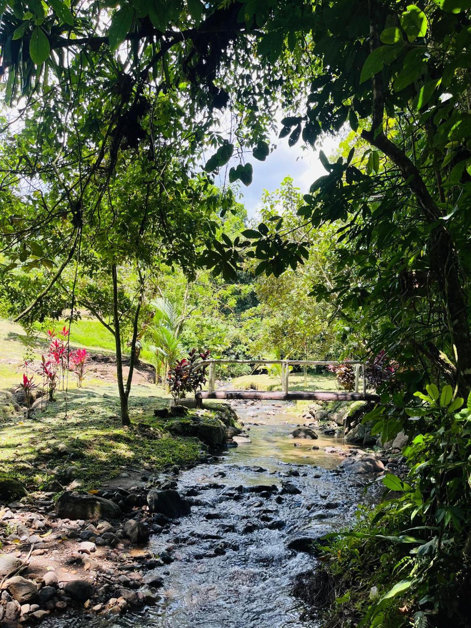 فيلا Wellness Park Cr La Fortuna المظهر الخارجي الصورة